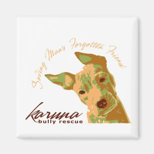 Karuna Bully Magnet
