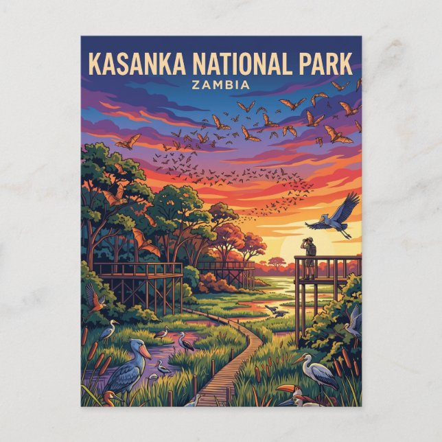 Kasanka National Park Zambia Postcard (Front)