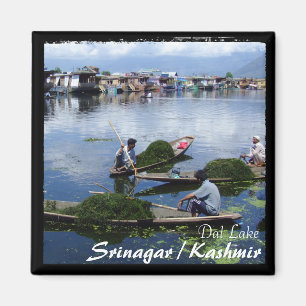 Kashmir, Srinagar - Shikara boats (Magnet) Magnet