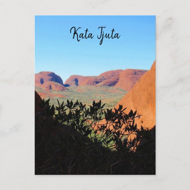 kata tjuta valley postcard (Front)