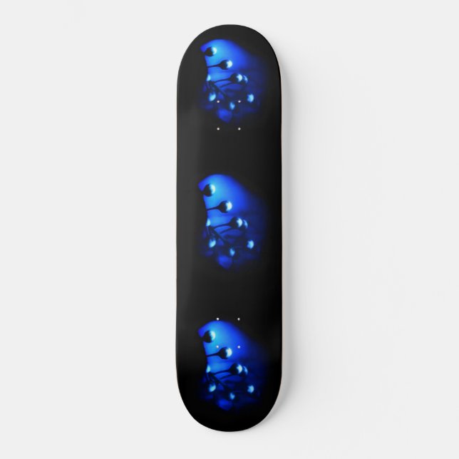 Kate Skateboard (Front)