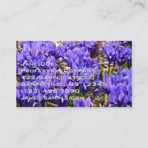 Katherine Hodgkin Irises Purple Spring Floral Business Card