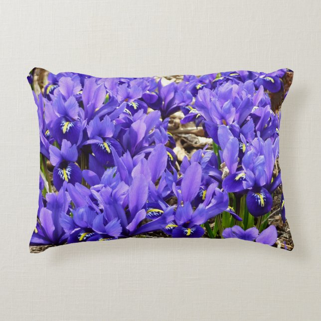 Katherine Hodgkin Irises Purple Spring Floral Decorative Cushion (Front)