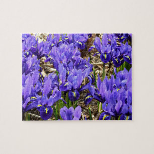 Katherine Hodgkin Irises Purple Spring Floral Jigsaw Puzzle