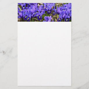 Katherine Hodgkin Irises Purple Spring Floral Stationery