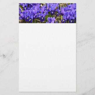 Katherine Hodgkin Irises Purple Spring Floral Stationery