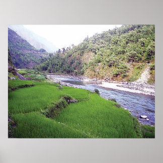 Kathmandu River Rice Terace Poster