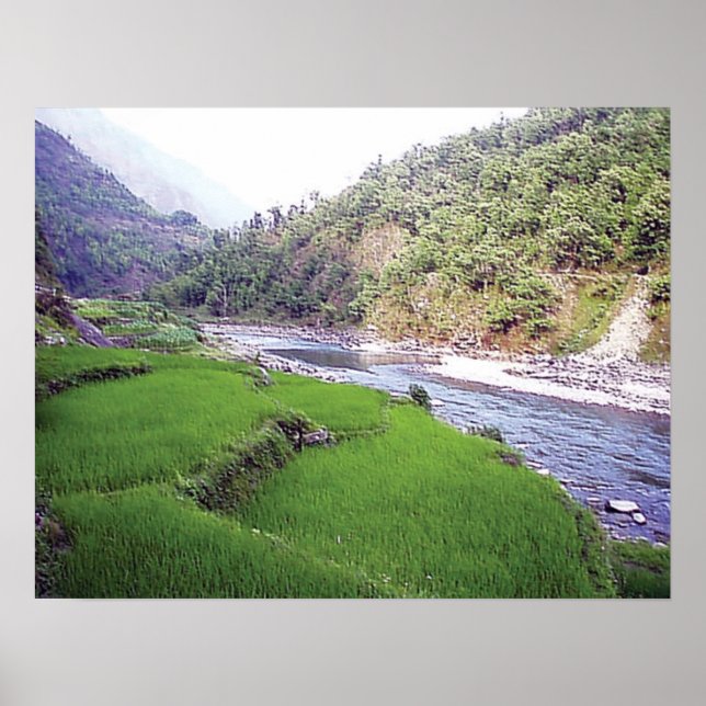 Kathmandu River Rice Terace Poster (Front)
