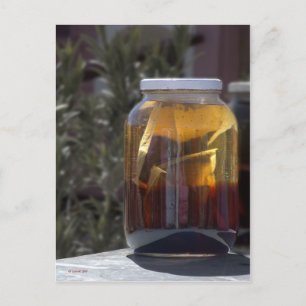 Kathy's Kosmic Kowgirl Tea Postcard