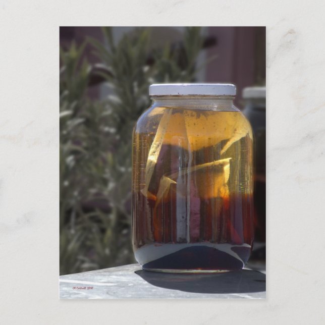 Kathy's Kosmic Kowgirl Tea Postcard (Front)