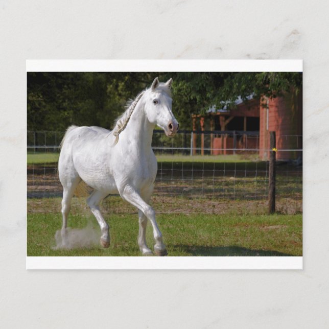 Katie Running Postcard (Front)