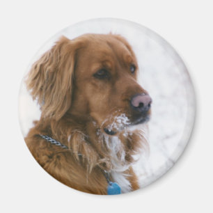 Katie Snowy Magnet