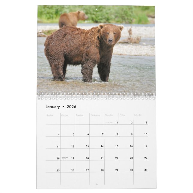 Katmai Bears Calendar (Jan 2026)