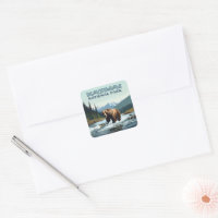 Katmai National Park Alaska Bear Brooks River