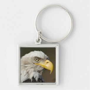 Katmai National Park, Alaska Key Ring