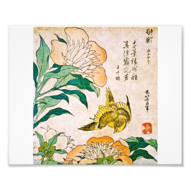 Katsushika Hokusai - Peony And Canary Photo Print (Front)