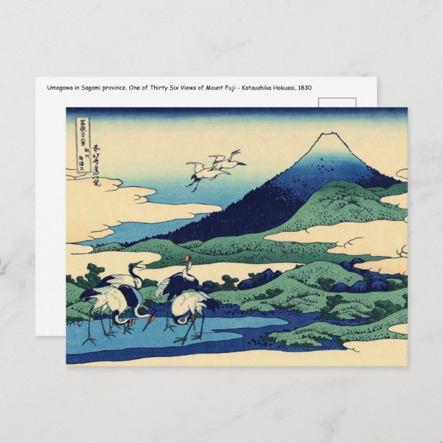 Katsushika Hokusai - Umegawa in Sagami province Postcard (Front/Back)