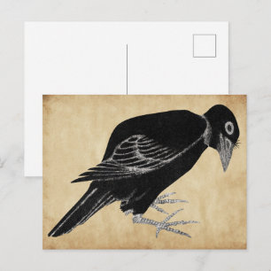 Katsushika Hokusai's Crow  1814 Postcard