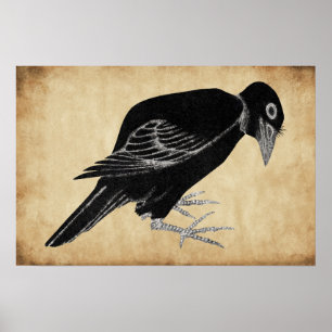 Katsushika Hokusai's Crow 1814 Poster