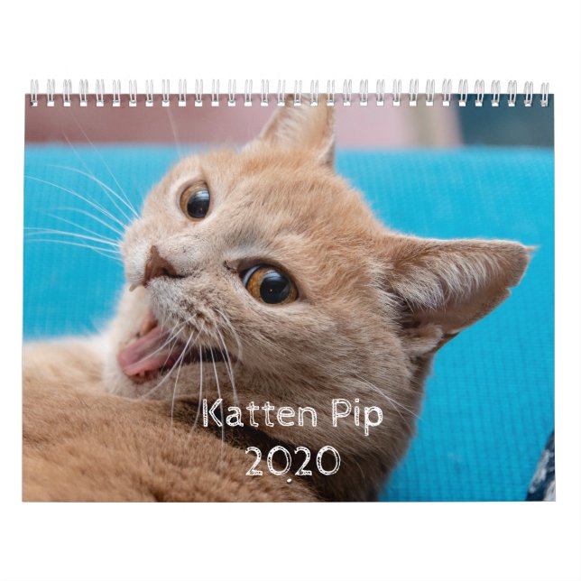 Katten Pip - 2020 Calendar (Cover)