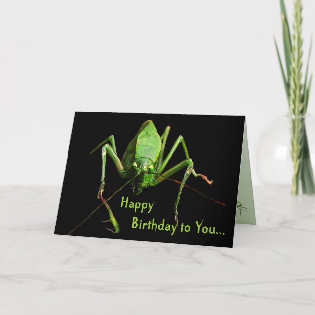 Katydid Birthday Card (Front)