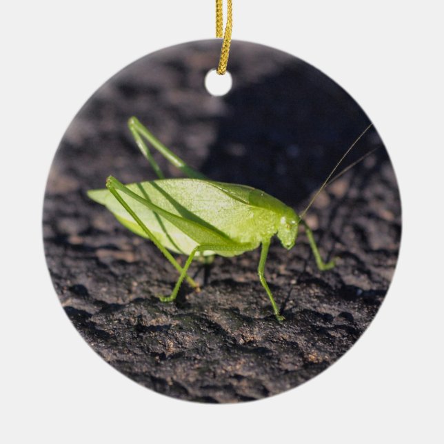 Katydid Ceramic Tree Decoration (Front)