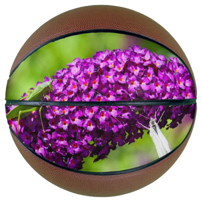 katydid energy basketball (Front)