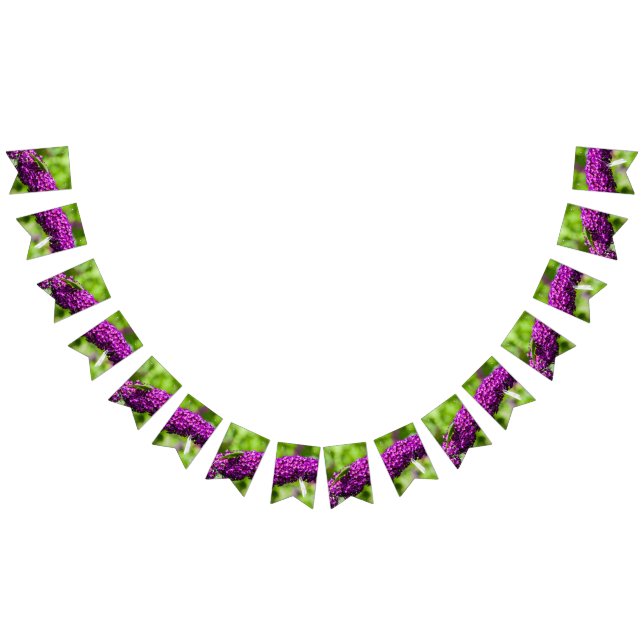 katydid energy bunting  (All)