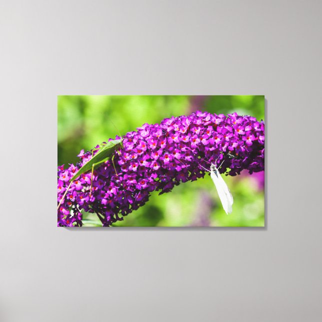 katydid energy canvas print (Front)