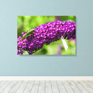 katydid energy canvas print