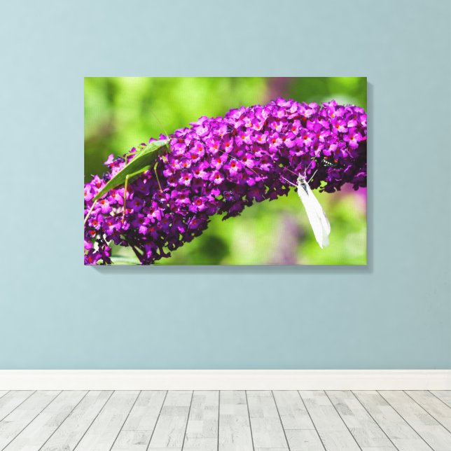 katydid energy canvas print (Insitu(Wood Floor))