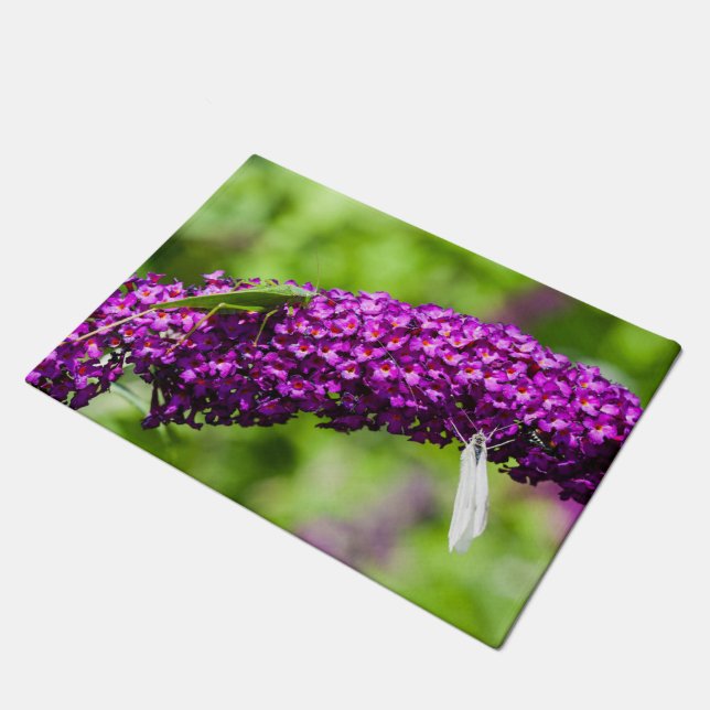 katydid energy doormat (Angled)