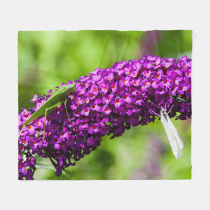 katydid energy fleece blanket