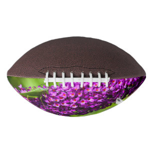 katydid energy football