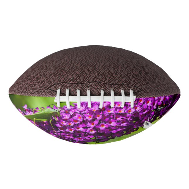 katydid energy football (Front)