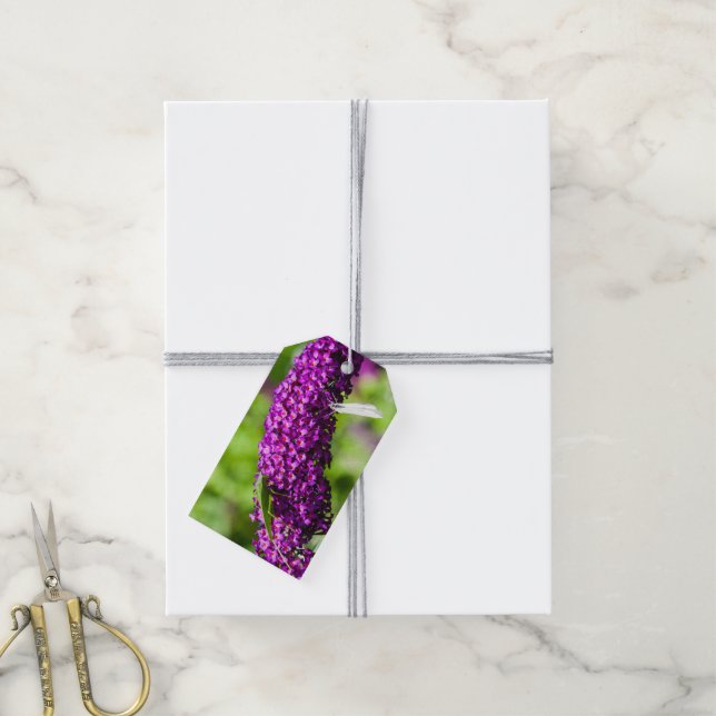 katydid energy gift tags (With Twine)