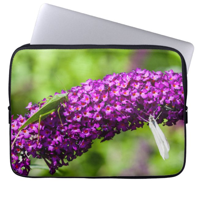 katydid energy laptop sleeve (Front)