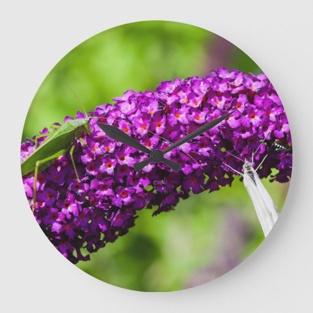 katydid energy large clock (Front)