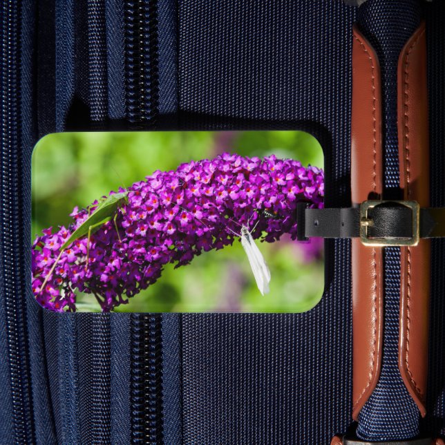 katydid energy luggage tag (Front Insitu 4)