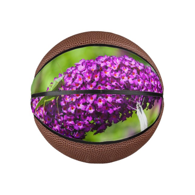 katydid energy mini basketball (Front)