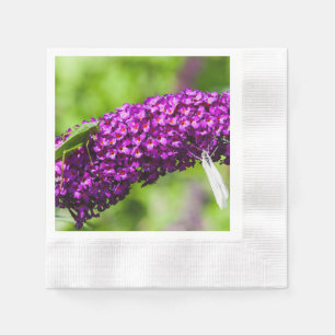 katydid energy napkin