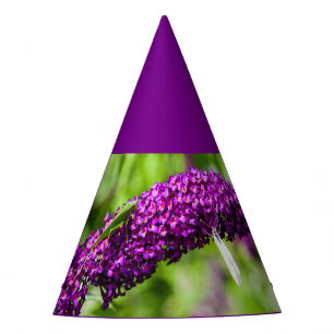 katydid energy party hat