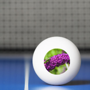 katydid energy ping pong ball