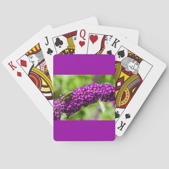 katydid energy playing cards (Back)