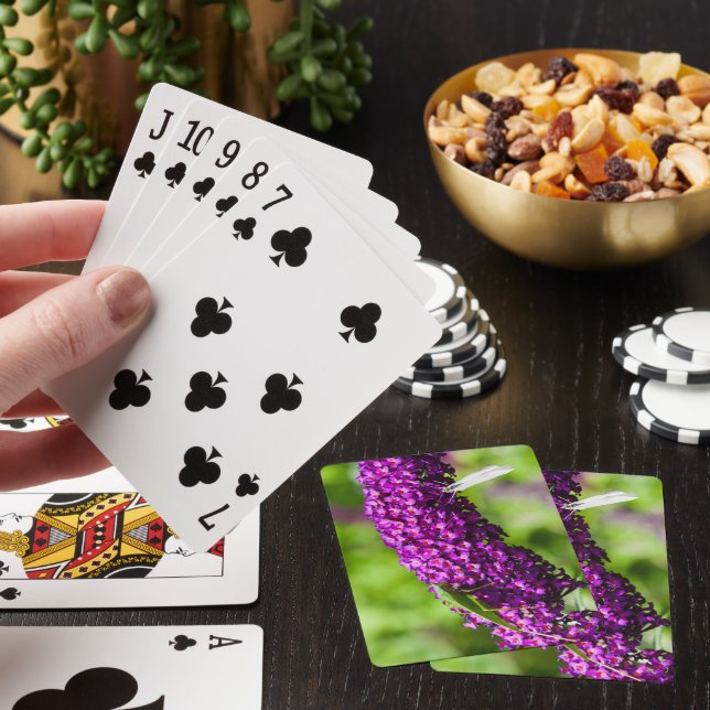 katydid energy playing cards (In Situ)