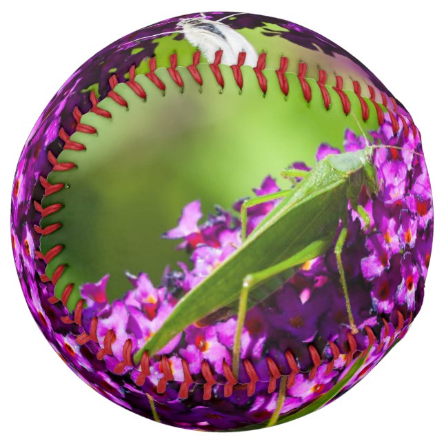 katydid energy softball (Front Left)