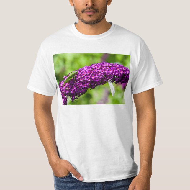 katydid energy T-Shirt (Front)