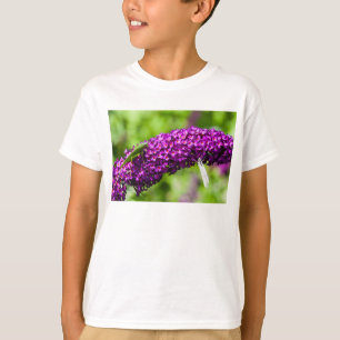 katydid energy T-Shirt