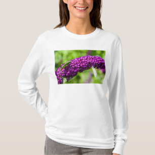 katydid energy T-Shirt