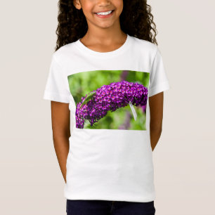 katydid energy T-Shirt